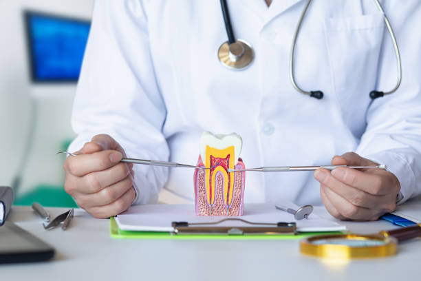 Best Knocked-Out Tooth Emergency  in Star City, WV